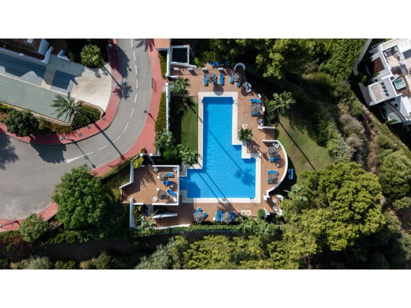 Casa Palmera