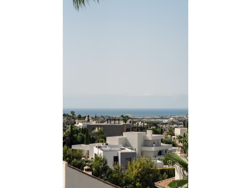 Casa Palmera